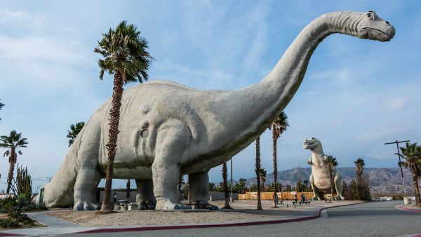 Roadside Attractions, Defensive Driving, Travel