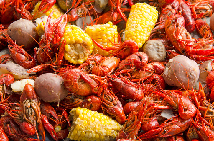 Travelogue Entry 101: Cajun & Creole Country